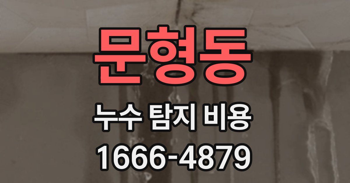 문형동 누수 탐지 비용