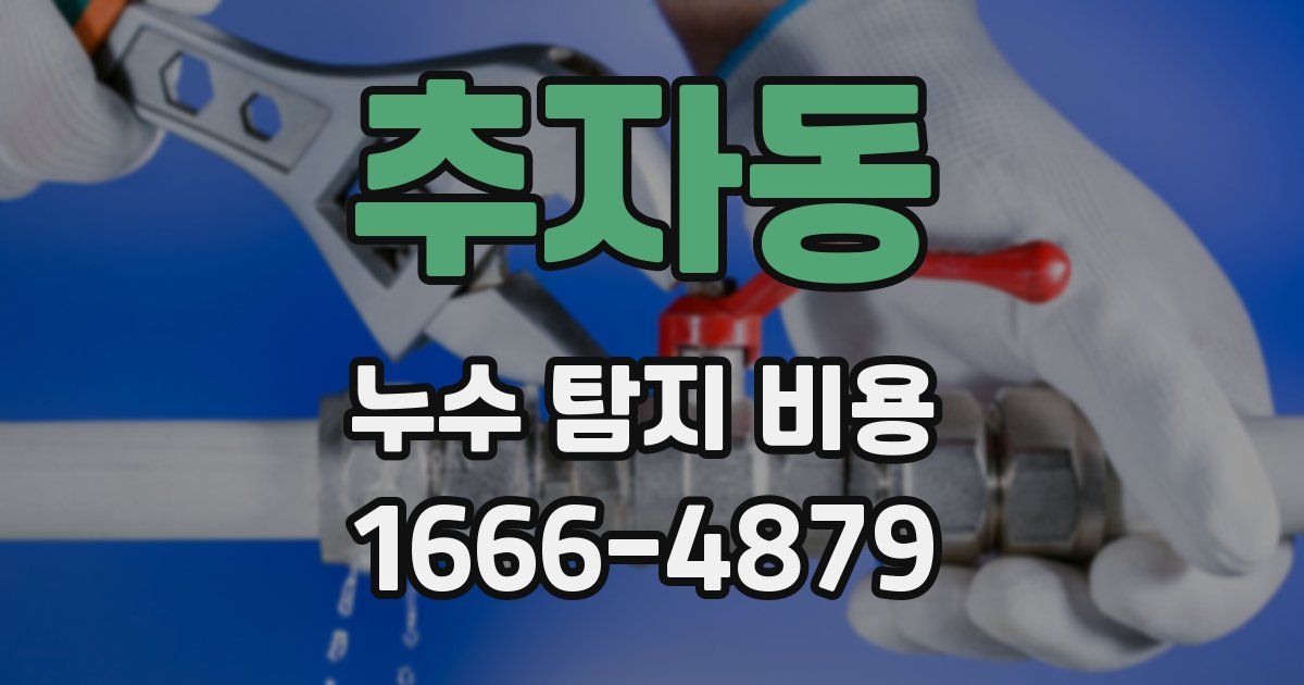 추자동 누수 탐지 비용
