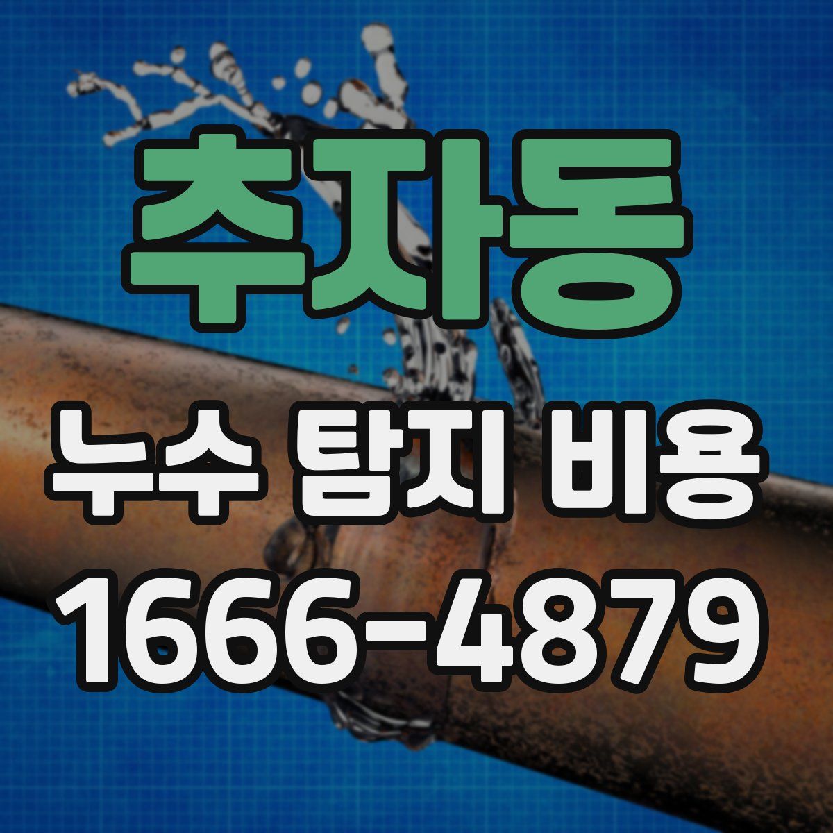 추자동 누수 탐지 비용