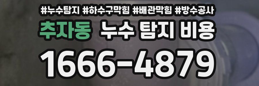 추자동 누수 탐지 비용