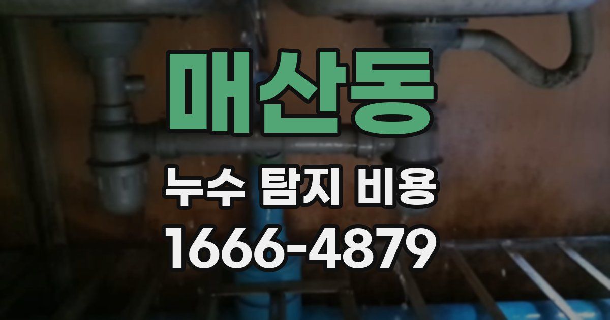매산동 누수 탐지 비용