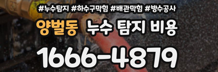 양벌동 누수 탐지 비용