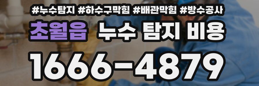 초월읍 누수 탐지 비용