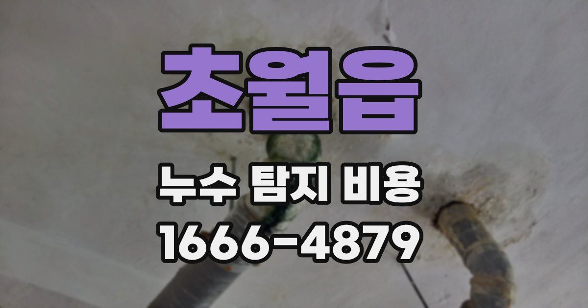 초월읍 누수 탐지 비용