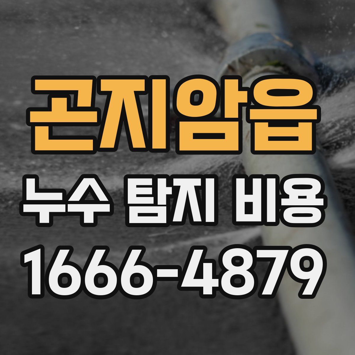곤지암읍 누수 탐지 비용