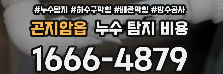 곤지암읍 누수 탐지 비용