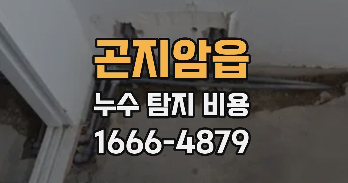 곤지암읍 누수 탐지 비용