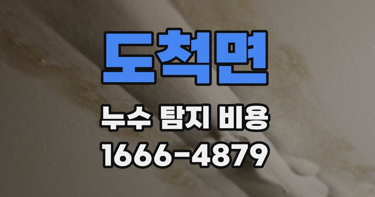 도척면 누수 탐지 비용