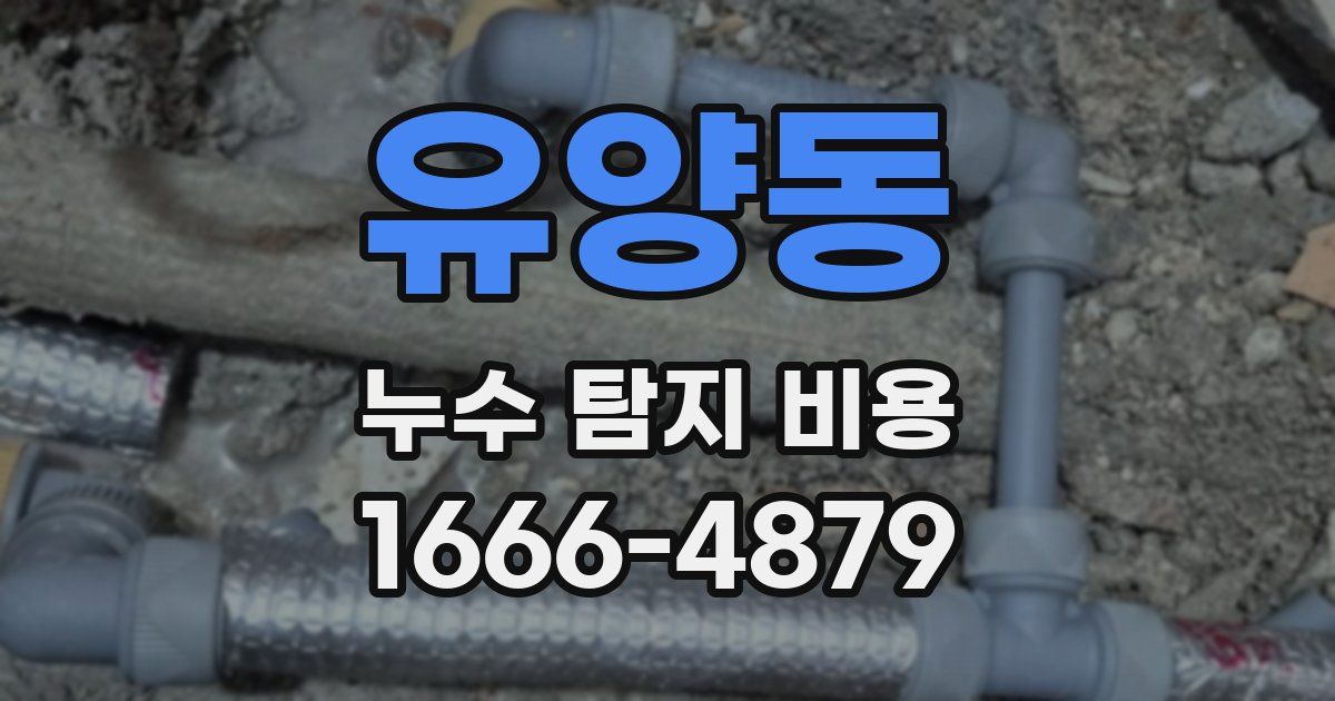 유양동 누수 탐지 비용