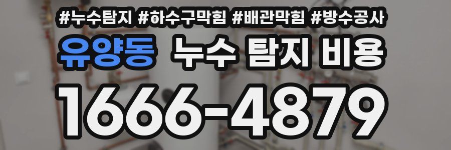 유양동 누수 탐지 비용