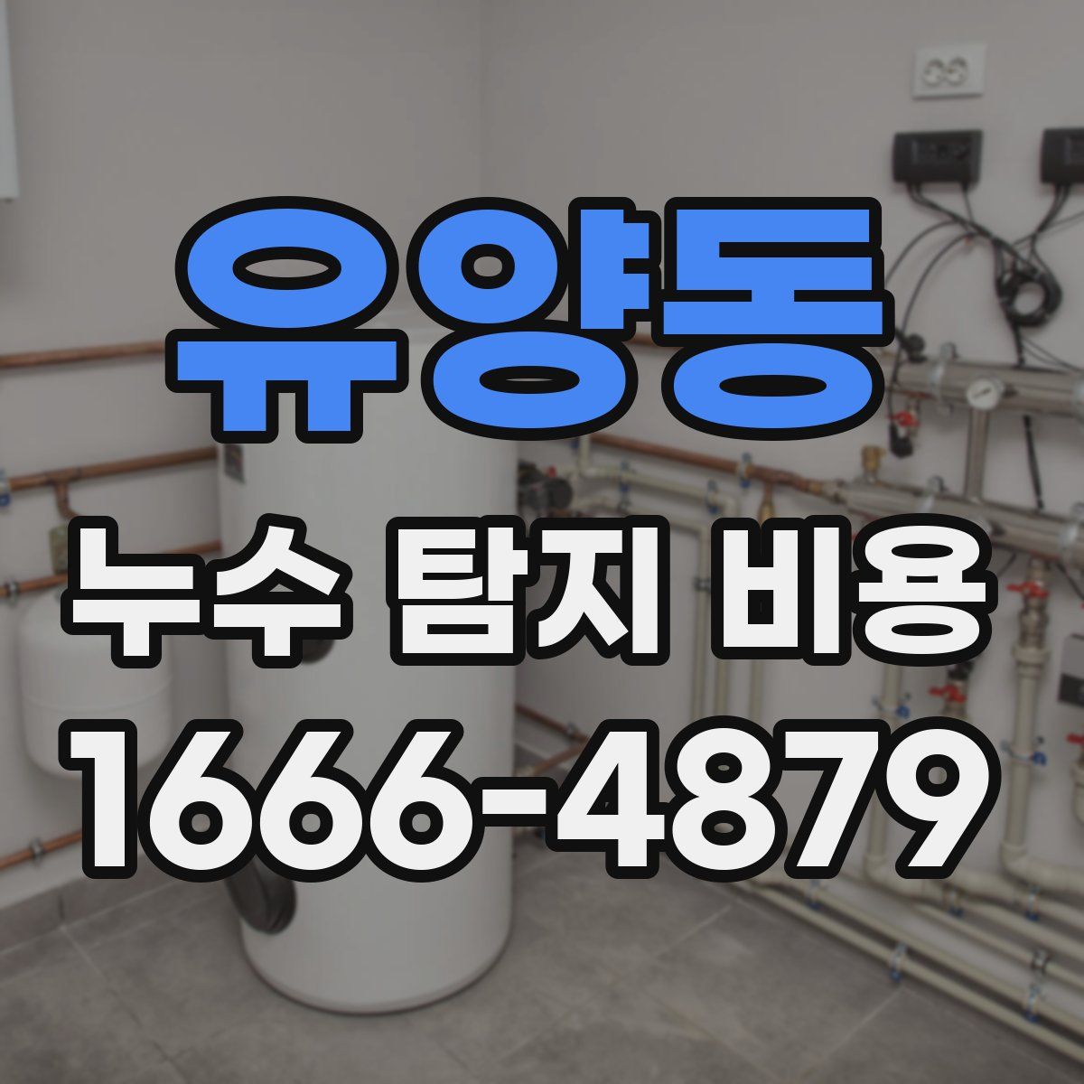 유양동 누수 탐지 비용