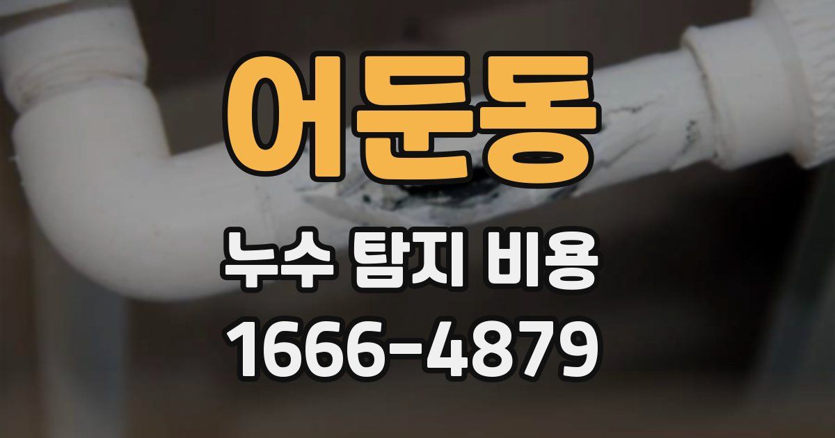 어둔동 누수 탐지 비용