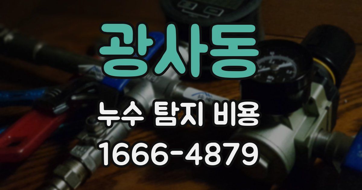 광사동 누수 탐지 비용