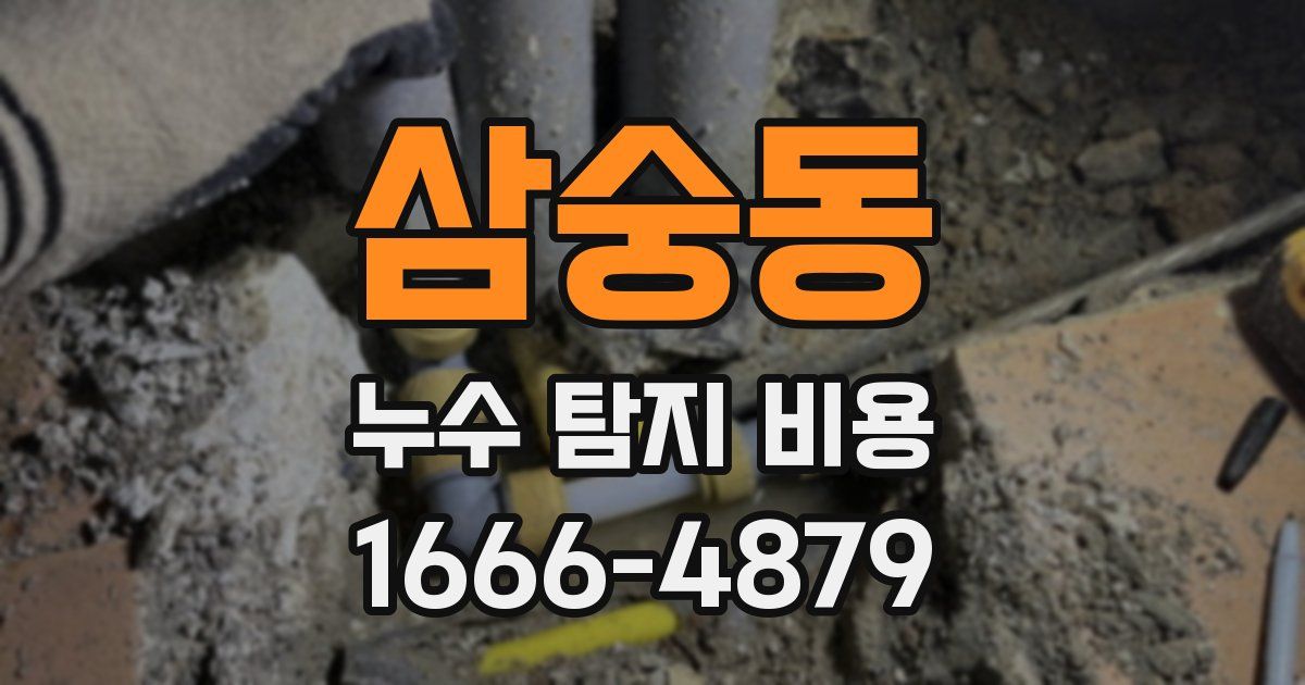 삼숭동 누수 탐지 비용