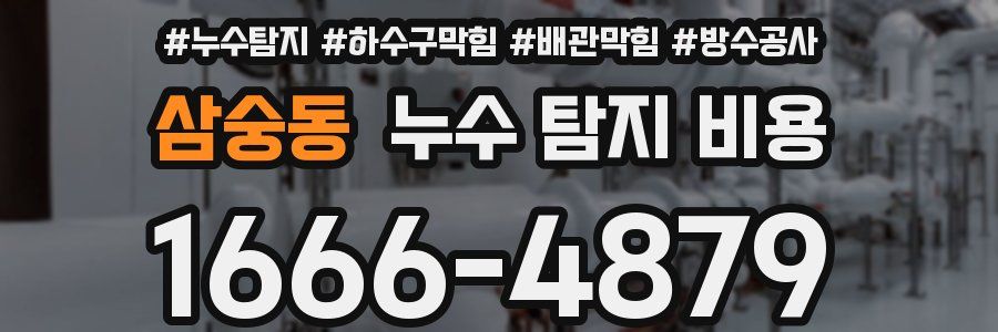 삼숭동 누수 탐지 비용