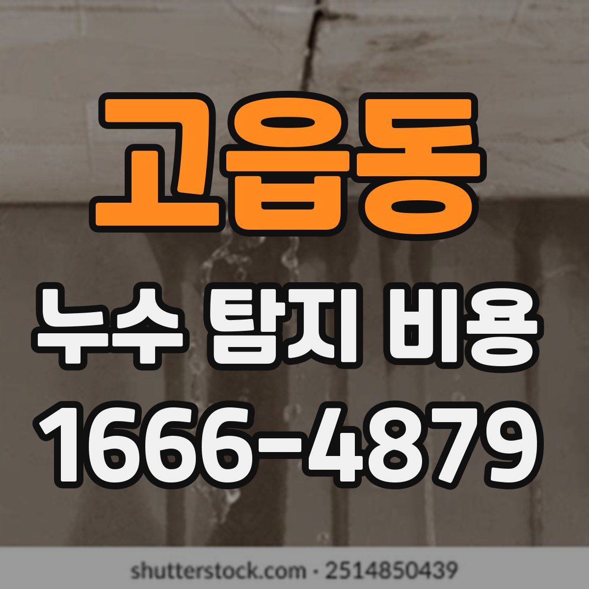 고읍동 누수 탐지 비용