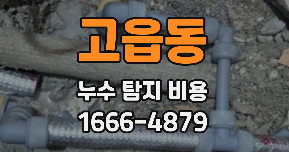고읍동 누수 탐지 비용