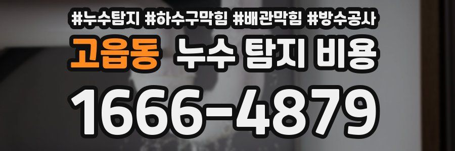 고읍동 누수 탐지 비용