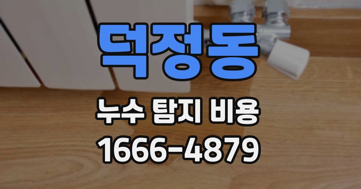 덕정동 누수 탐지 비용