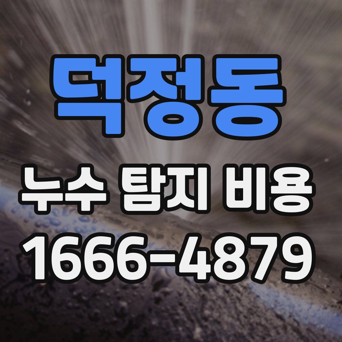 덕정동 누수 탐지 비용