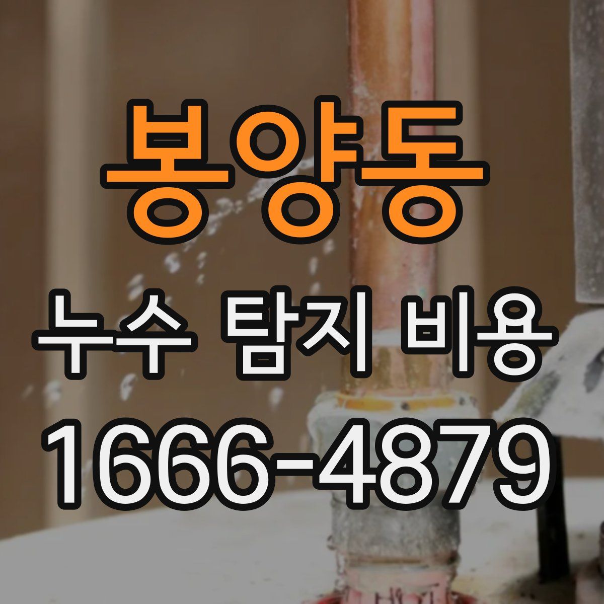 봉양동 누수 탐지 비용
