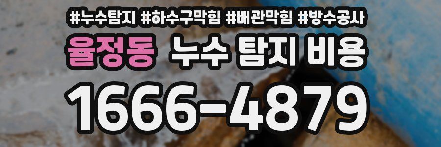 율정동 누수 탐지 비용
