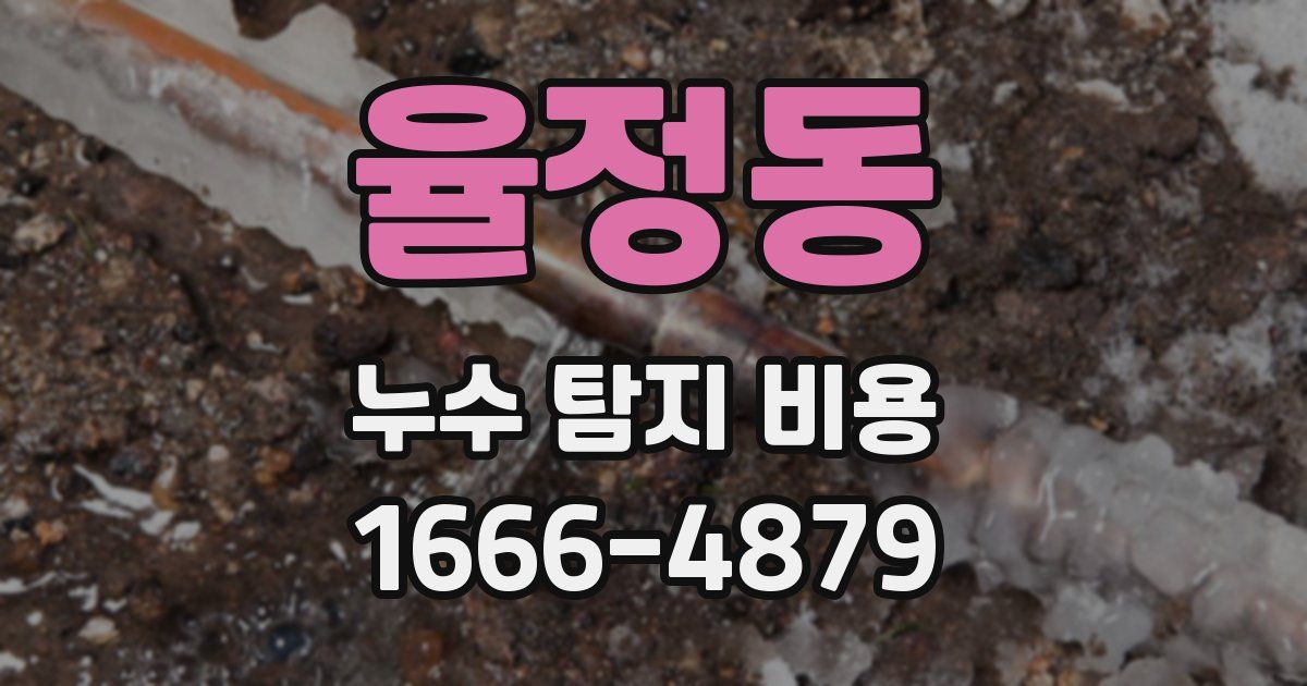 율정동 누수 탐지 비용