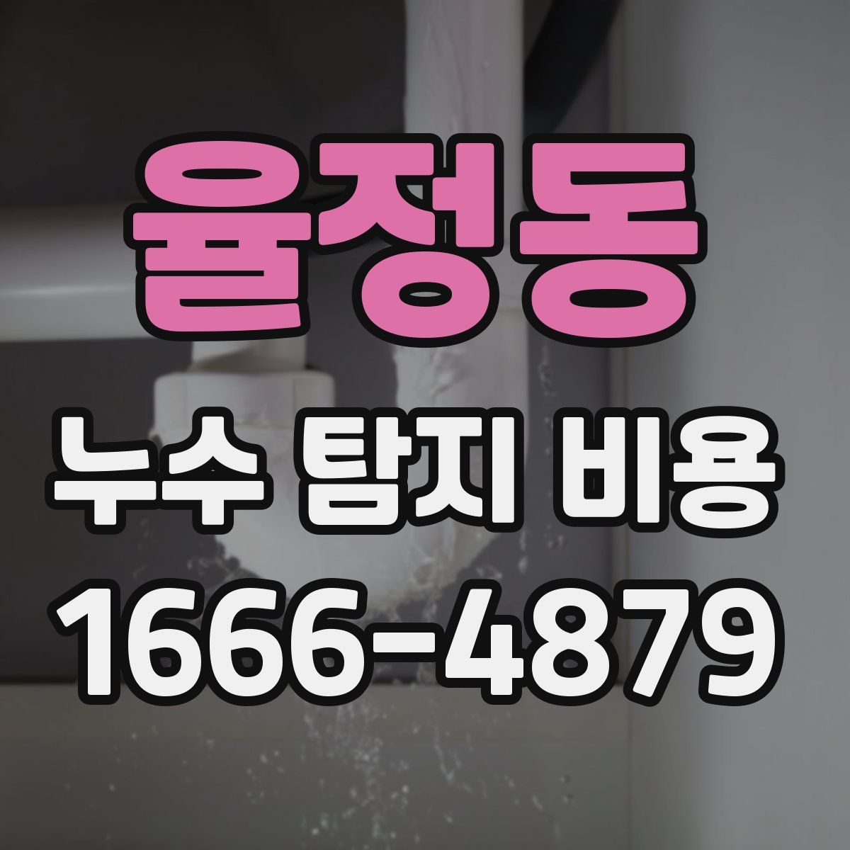 율정동 누수 탐지 비용
