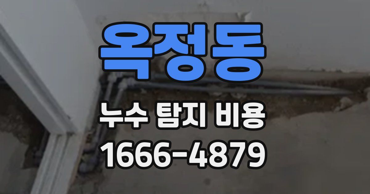 옥정동 누수 탐지 비용