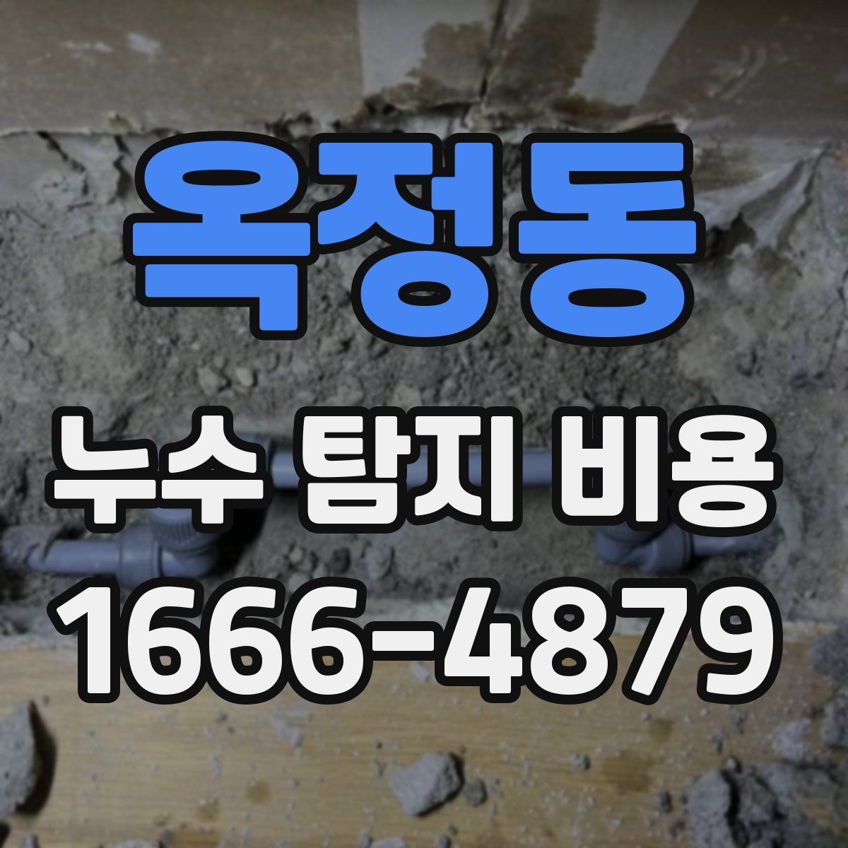 옥정동 누수 탐지 비용