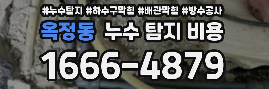 옥정동 누수 탐지 비용