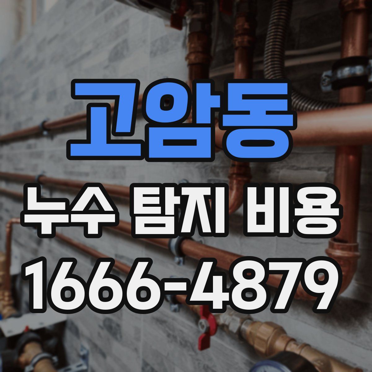 고암동 누수 탐지 비용