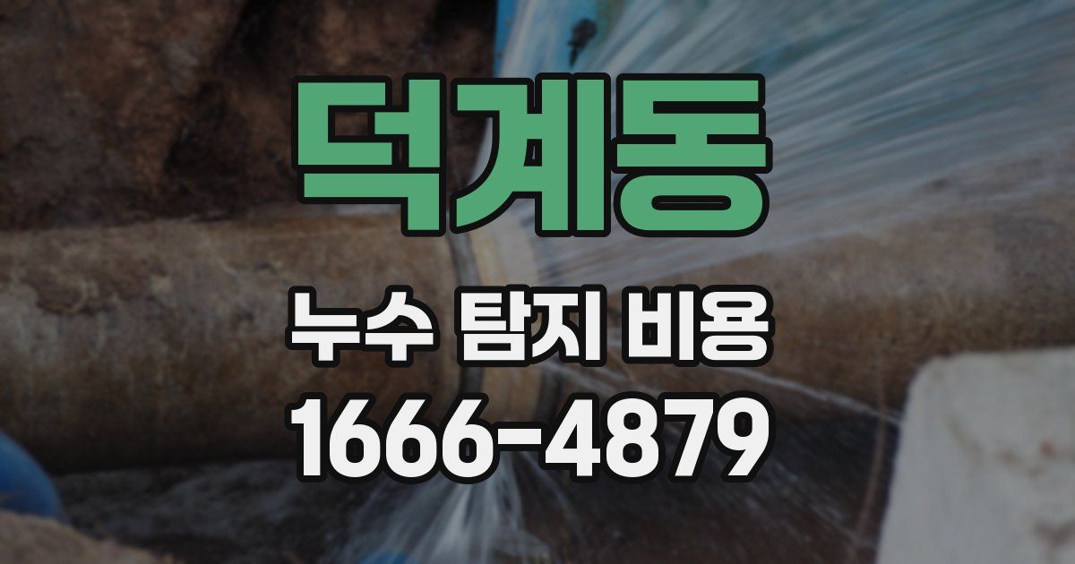덕계동 누수 탐지 비용