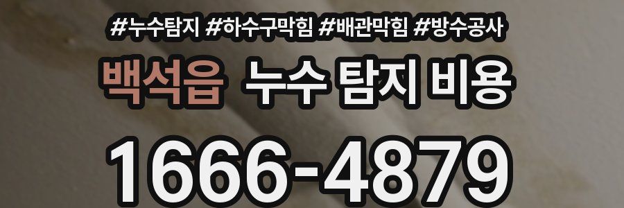 백석읍 누수 탐지 비용