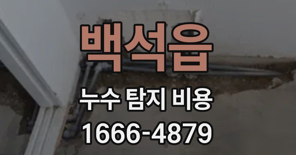 백석읍 누수 탐지 비용