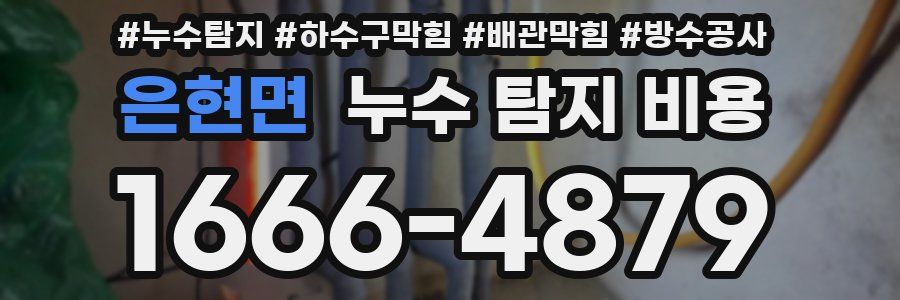 은현면 누수 탐지 비용