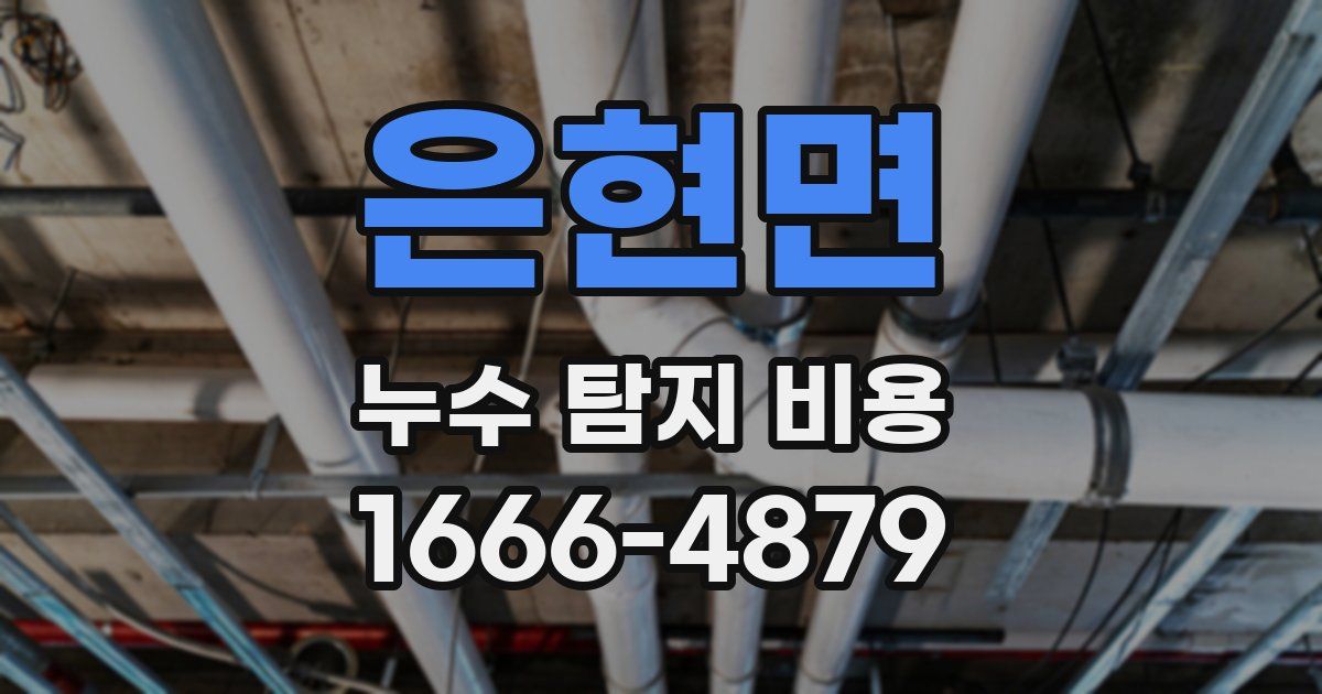 은현면 누수 탐지 비용