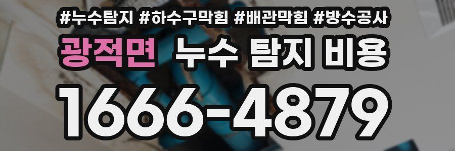 광적면 누수 탐지 비용