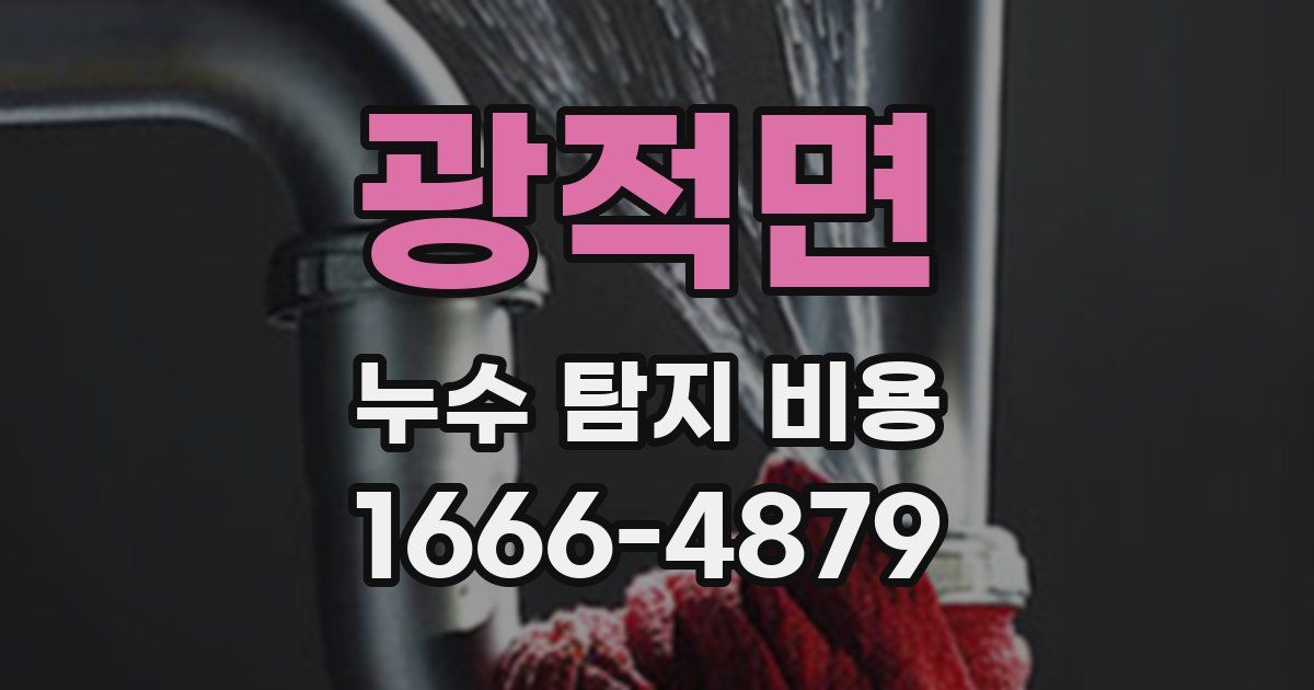 광적면 누수 탐지 비용