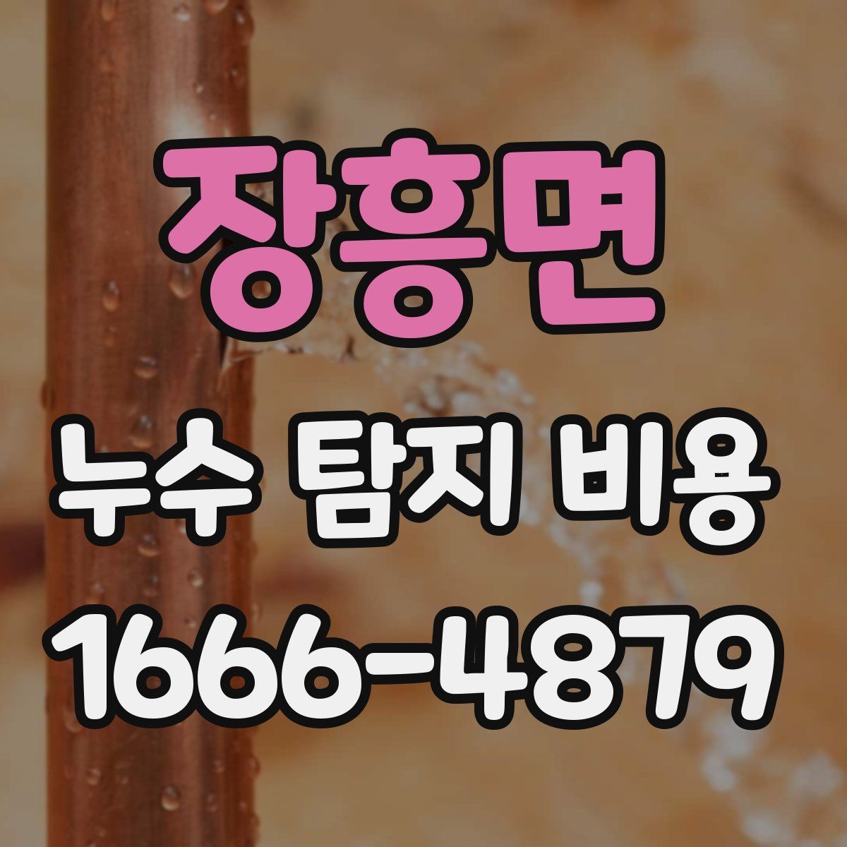 장흥면 누수 탐지 비용