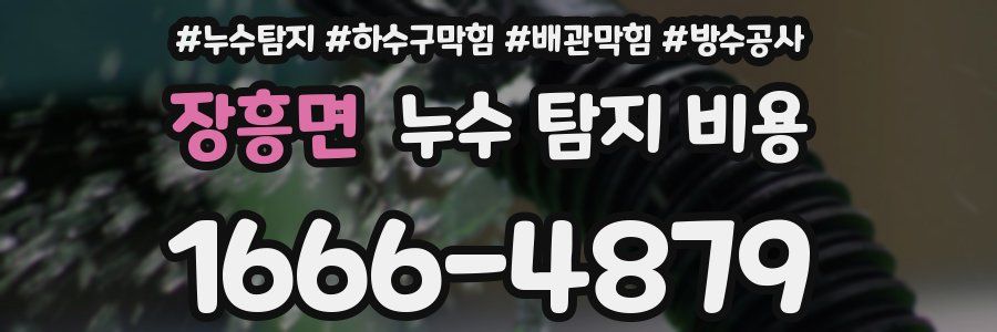 장흥면 누수 탐지 비용