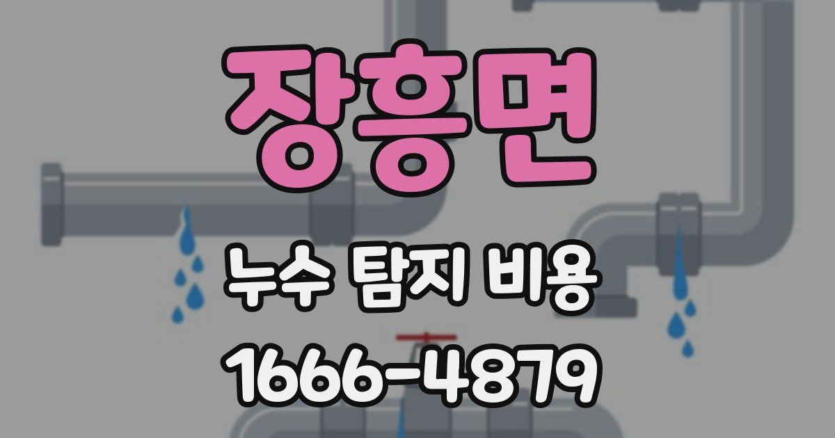 장흥면 누수 탐지 비용