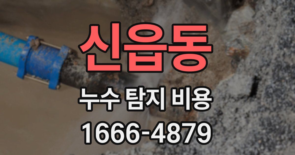 신읍동 누수 탐지 비용