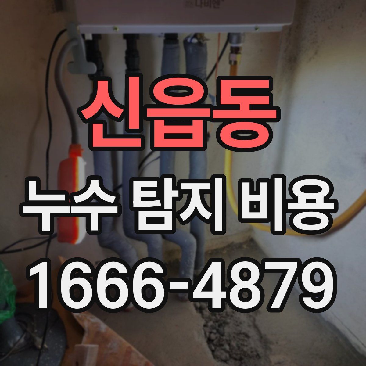 신읍동 누수 탐지 비용