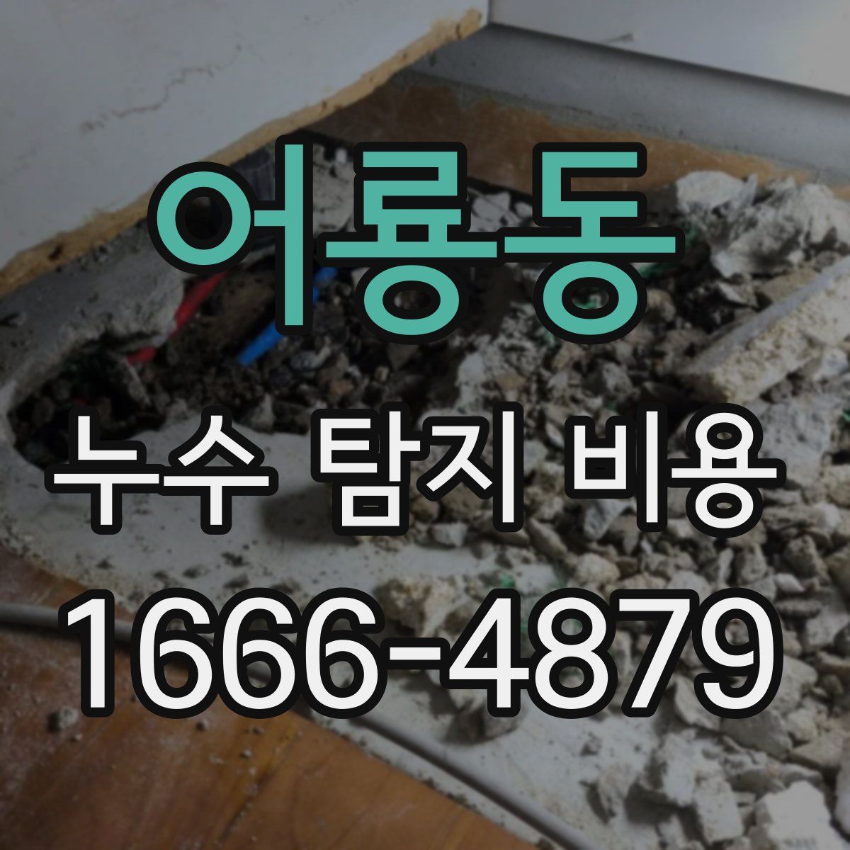 어룡동 누수 탐지 비용