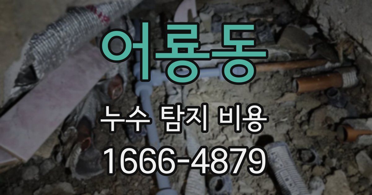 어룡동 누수 탐지 비용