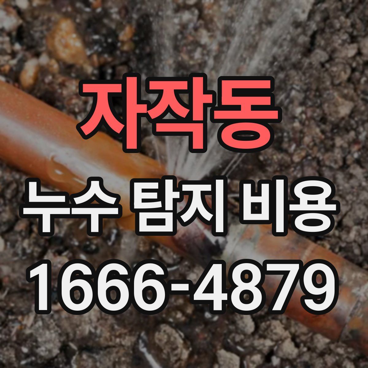 자작동 누수 탐지 비용
