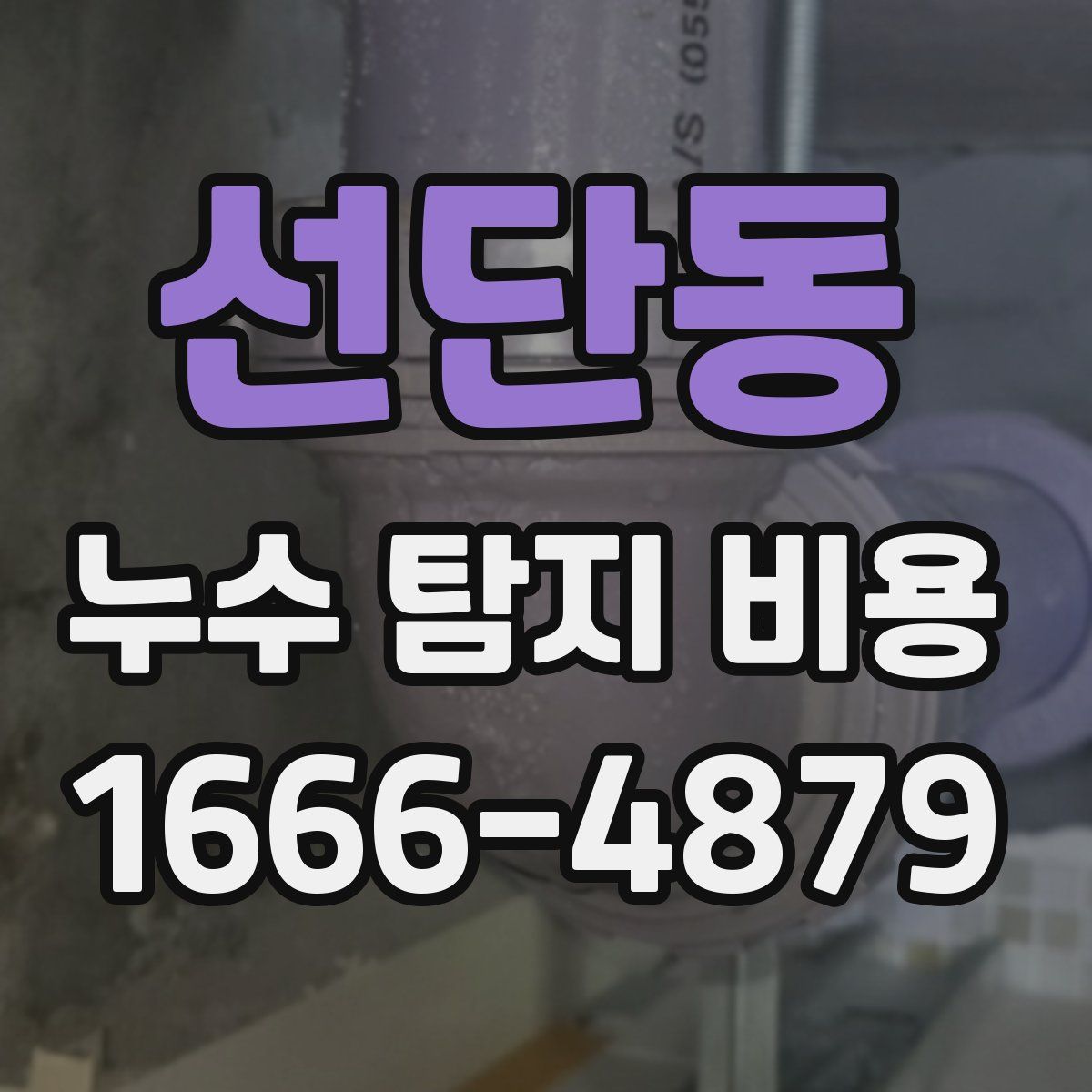 선단동 누수 탐지 비용