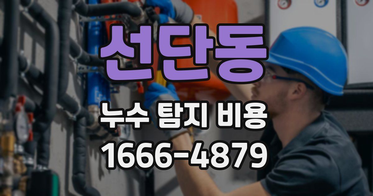 선단동 누수 탐지 비용