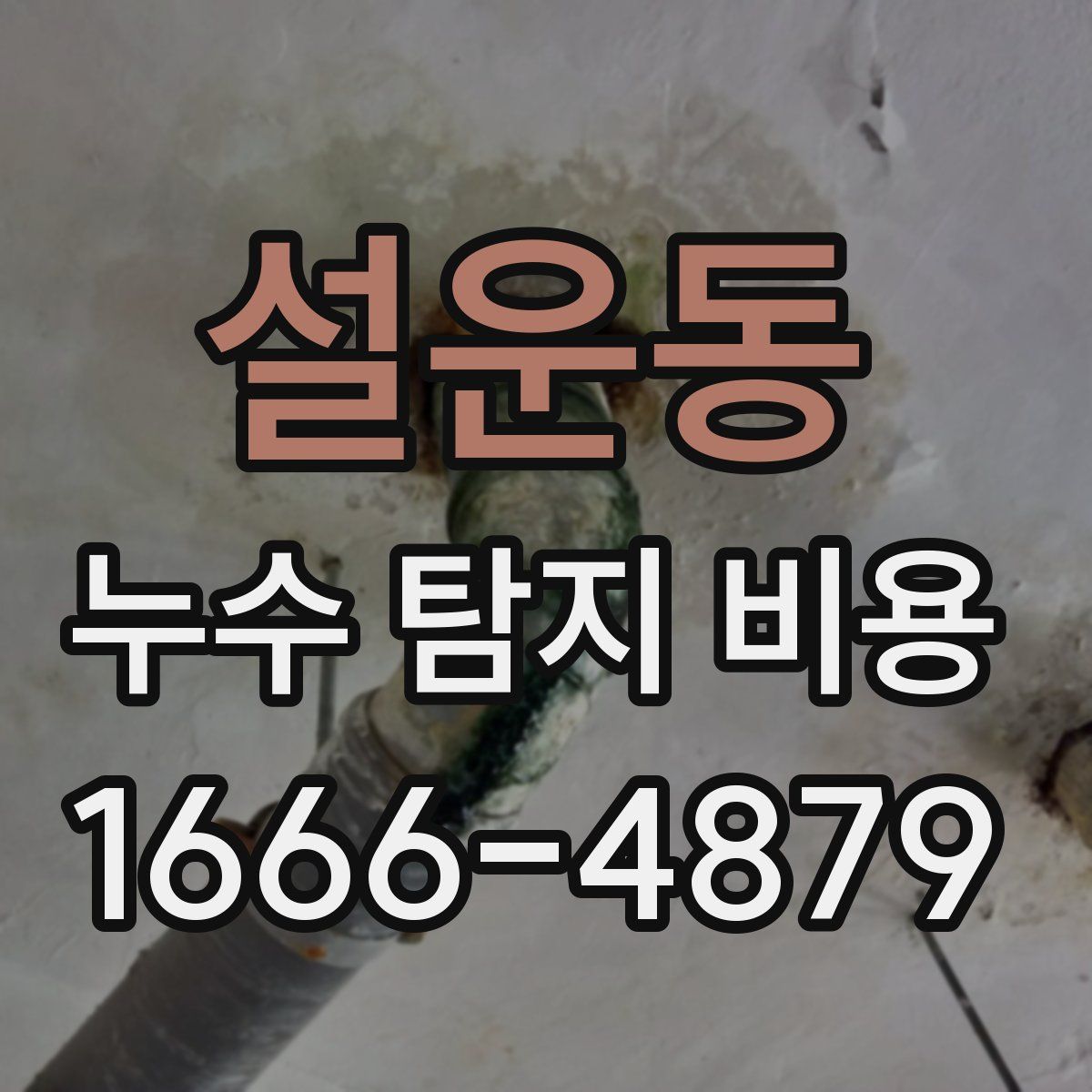설운동 누수 탐지 비용